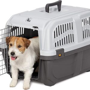 Caja transportadora Skudo 3 Kennel para perros pequeños