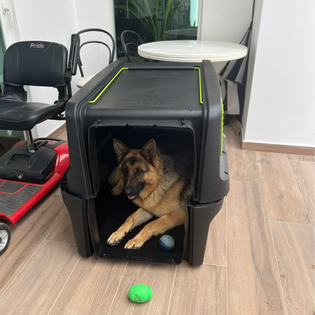 Kennel xxl para perros apara para avion