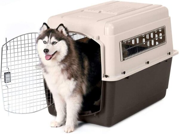 kennel pet mate grande para perros