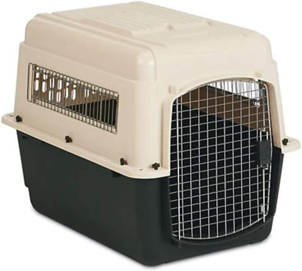 pet mate para perros